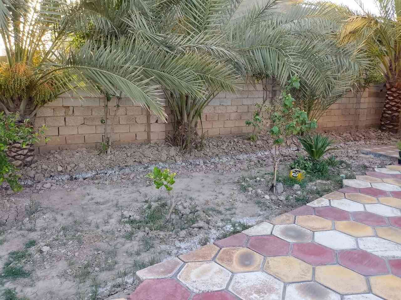هبهب القمانية • دونم طابو زراعي • بيت ١٧٠م طابقين