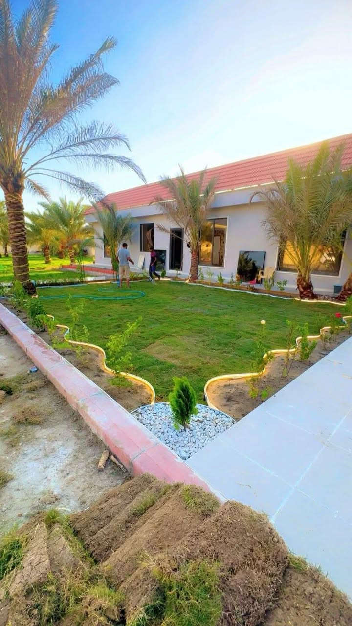 يارب موسم خير وبركة عليكم 
تتوفر لدينا الفسائل بكافة انواعها وصنوفها 
✅  مجهول 🌴برحــــي✅قرنفلي  خستـــاوي 🌴 بريــــــم ✅ عمــران 
✅ تبــــرزل🌴 مكــــــتوم  ✅ جمــالـي🌴 اشرصي
✅ بربــــــن🌴 حــمـراوي  ✅ شـــــكر  🌴شوثي اصفر
 عــــــراقي اصـــــــــلي 100% 
كل انواع الفسائل  اخاص بالمزارع مالتنه 
متوفرة كافة الاحجام وحسب الطلب والنوع امهــات ذكـــــــور  
كذلك يوجد لدينا توصيل لكافة محافظات العراق مع ضمان 
الزراعة والادامة والتلقيح والاستشارة 
ضمان الثمرة وتلقيحها 100% وتوجد ادامة كاملة للفسيلة لمدة سنوات 
يوجد لدينا اعداد كثيرة من فسائل الزهدي التجاري 
✅  مستعدين للتجهيز دوائر الدولة كافة 
✅ المشاتل وكافة المزارع الخاصة والعامة 
✅ البيع بالجملة والمفرد مع ضمان النقل والزراعة
يوجد لدينا كادر متخصص بزراعة النخيل والاشجار  و كدر متخصص بمنضومه تقطير  موقع العمل كربلاء ونشتغل في جميع محافظة العرق 
للحجز
 والطلب والاستفسار مراسلة الصفحة او التصل ***********
