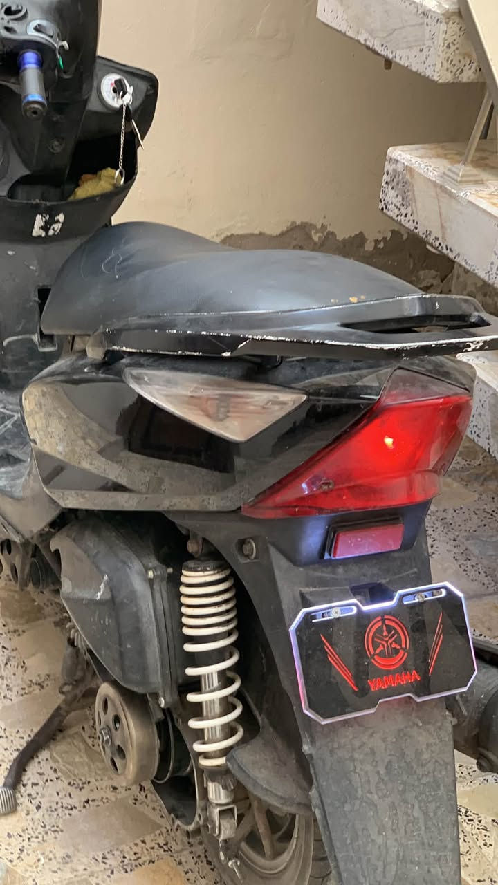 سلام عليكم ثعلب مكفولة كفالة عامة لا نضوح ولا تبخير مراوس ب جي تي ار فقط
لا ابيع ولا اراوس بغير الجي تي ار ***********
