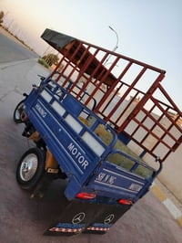ستوته • موديل ٢٢ • مرقمه