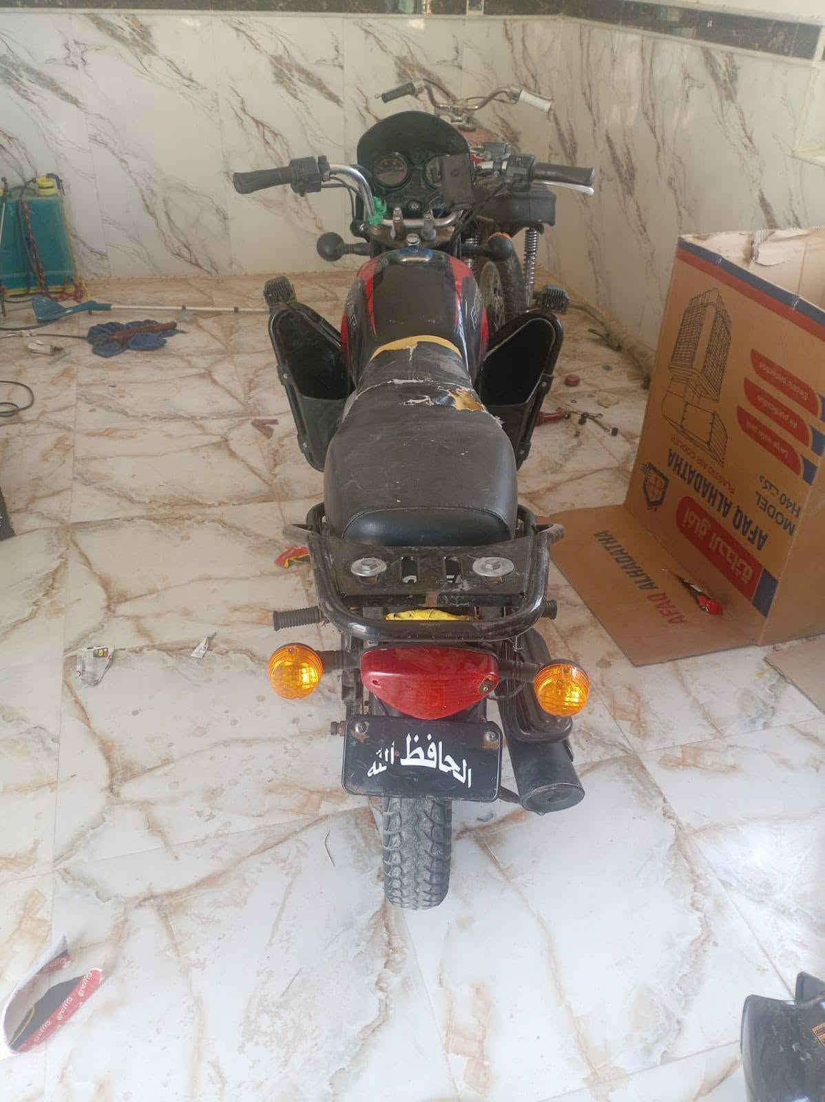 بوكسر • جبلي • ٢٠٢٢