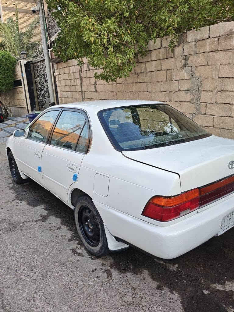 كورلا نفخ ياباني مديل 1991 رقم بصرة شرط تحويل مكينه وكير كفاله حداده تخم تاير كهربائيات كلها كفاله نقصها فقط تبريد يرادله ترتيب وموجود كمبريسر شغال كفاله من الضربة القوية و العيب الشرعي البدي شوف العين العنوان بصرة السعر 45 وبيها مجال قليل هـ*********** البصرة, العراق
