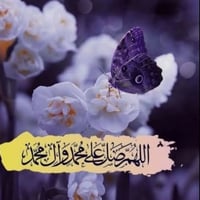 شارع احمد الوائلي • ١٠٠ أرد • سند باسمي