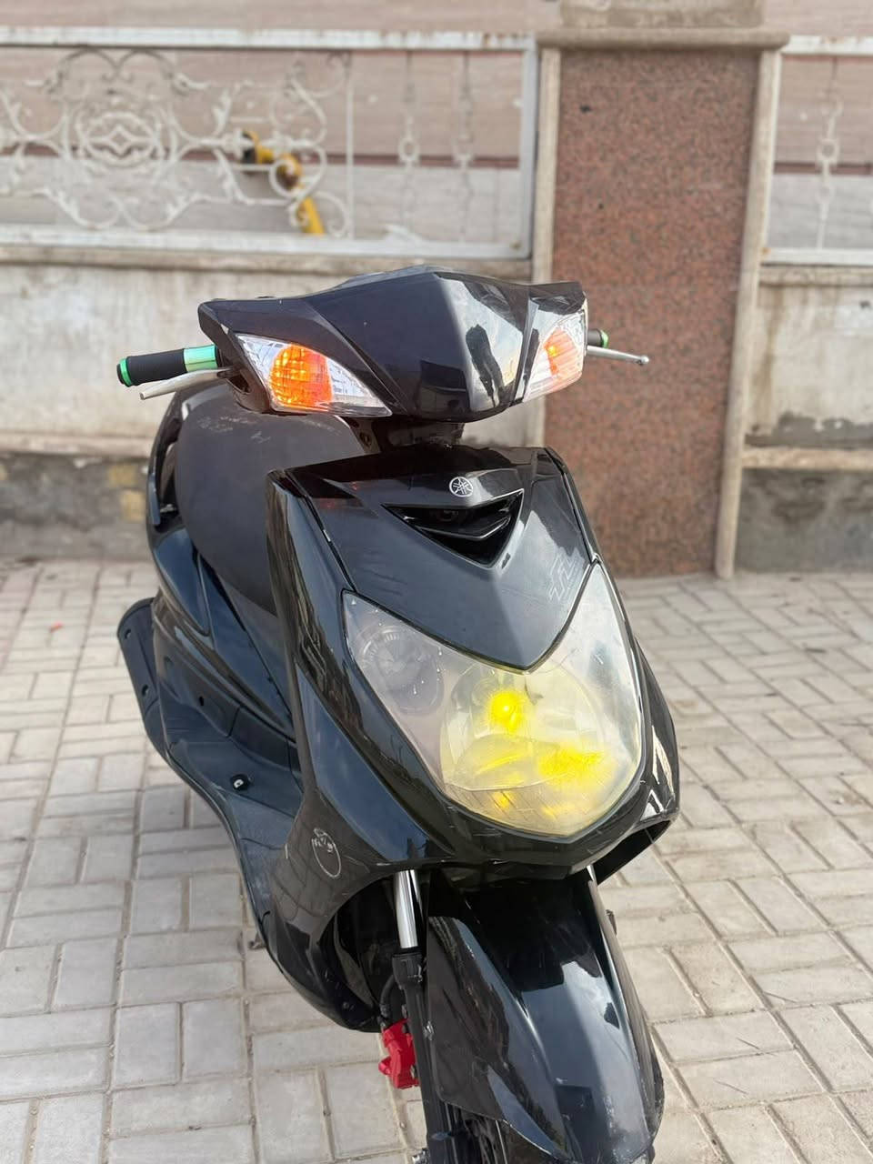 سكنس فحل • جديده • كفاله