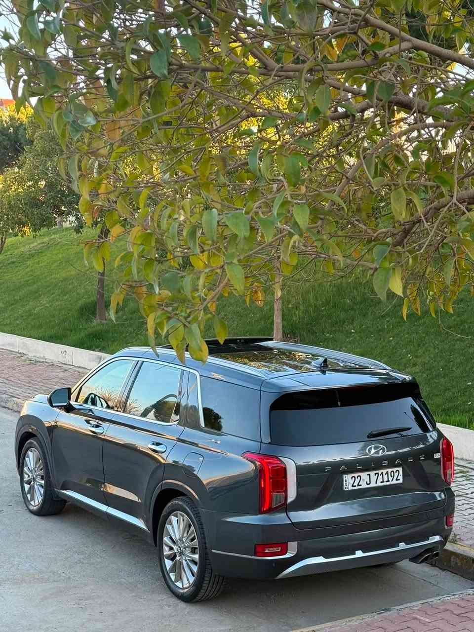 السلام  عليكم ورحمة الله وبركاته
‏‎‏‎       ——— لـلـبـيع  ———

هيونداي باليسايد — Hyundai Palisade

‏‎‏‎وراد أمريكي.     —    ايرباك الستيرن - البرده 

‏‎‏‎الموديل           —     2020 

فئة.                 —   Kalkaravi

حجم المكينه   —      V6/3800

‏‎‏‎اللون                —      زيتوني    

‏‎‏‎المسافه المقطوعه —  65.000mi  

‏‎‏‎حاله السياره. — جاملغ - بنيد  - صندوق( التقرير و السونار مرفق مع الصور )  

‏‎‏‎المواصفات 
‏‎‏‎- بصمة تشغيل 
‏‎‏‎- بصمة أبواب 
‏‎‏‎-تشغيل عن بعد 
‏‎‏‎-ترحيب عند الاقتراب 
-دبل فتحة سقف
-نظام الملاحه 
-شفتات ستيرن
-بردات خلفيه 
-شاشه ديجتال
‏‎‏‎-كشنات جلد + مخمل
-كشنات تدفئه تبريد 
-حساس امامي 
-حساس خلفي
-رادارات 360درجه 
-كامرات 360درجه
‏‎‏‎- شاشه كبيره تدعم نظام الأبل كار بلي ونظام الاندرويد 
‏‎-تدفئة ستيرن 
-كرسي السايق خزن ميموري 
‏‎-گير بيانو  
‏‎-نظام الدفع 4WD
-اشاره بالمرايه  
‏‎-اوتو هولد 
‏‎-هندبريك بصمه 
‏‎-وضعيات قياده 
‏‎‏‎- ستيرن بحركه كهربائيه
‏‎‏‎- تبريد مركزي 
‏‎‏‎- بگ لايت LED 
‏‎-صندوق كهربائي 
‏‎-كشنات VIP ( منفصل )
‏‎‏‎-كرسي السايق والراكب بحركه كهربائيه
‏‎‏‎-تحكم ستيرن جهتين 
‏‎‏‎-تحديد سرعه 
‏‎‏‎-مانع انزلاق 
‏‎‏‎-ليد نهاري
‏‎‏‎باقي المواصفات المعروفه 

‏‎‏‎السعر            —    اكتب تم ويوصلك السعر مباشر 

‏‎‏‎رقم السياره    —     اربيل

‏‎‏‎موقع  السياره —      السليمانية 

‏‎‏‎للأستفسار.     —       *********** - ***********
