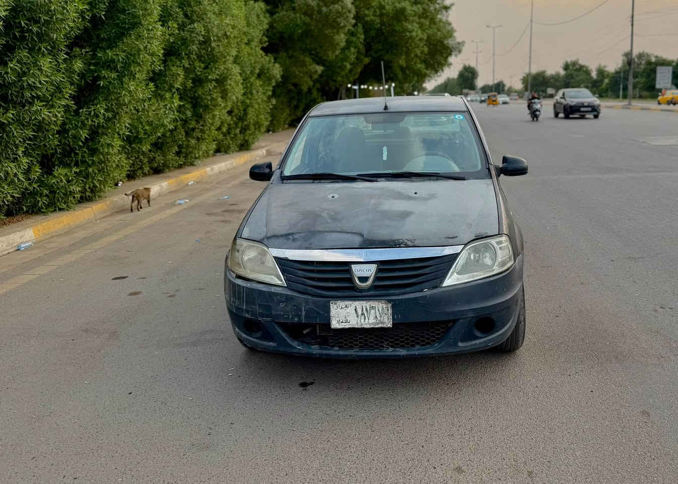 رينو لوكان • ٢٠٠٩ • ماشي ١٠٠ الف