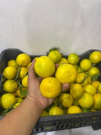 مسواكنه • جديد • واتساب