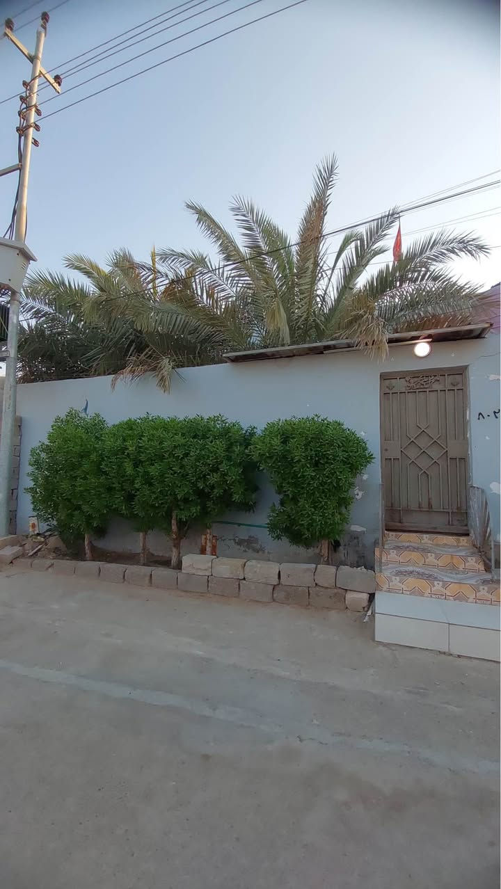 🏡 بيت للبيع – فرصة مميزة في أبي الخصيب
بيت بمساحة 350 متر 📐
📜 طابو زراعي عراقي رسمي

✨ يحتوي على:
• 5 غرف منام
• صالة كبيرة
• مطبخ
• صحيات داخلية وخارجية
• ديوان مستقل مع صحيات ومعزول بخصوصية
• كراج
• حديقة جميلة 🌿
• موقع مميز على نهر فرعي 🌊

📍 الموقع: البصرة – أبي الخصيب – السبيليات، قريب من الشارع الداخلي.

✅ منطقة راقية وهادئة
✅ شارع تبليط
✅ ماء وكهرباء
✅ نت ضوئي
✅ مولد
✅ مجاري
✅ خدمات متكاملة
السعر /165وبي مجال
🔥 بيت يجمع بين السكن الراقي، الخصوصية، والموقع الجميل… فرصة لا تتكرر!

📞 للاستفسار: *********** البصرة, العراق
