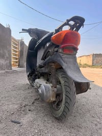 عصفوري للبيع السعر 100