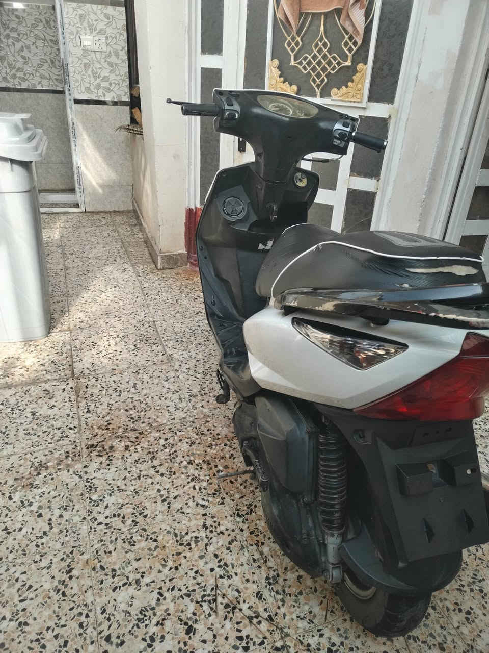 ماكس ثعلب • جسردياله • زعفرانيه