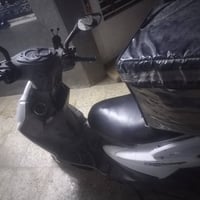 سكنس فحل • نوزل • اوراق ضايعة