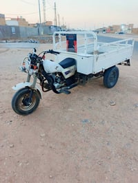 ستوته • ٢٠١٠ • اوراق اصولي