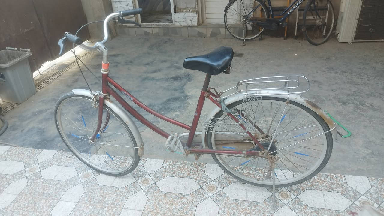 باسكلات عدد 2 للبيع واحد حجمه 26 و واحد حجمه 27 كل نقص مابيهن 
الحمزه الشرقي   والشراي بي خير ويدلل 
الرقم ***********
