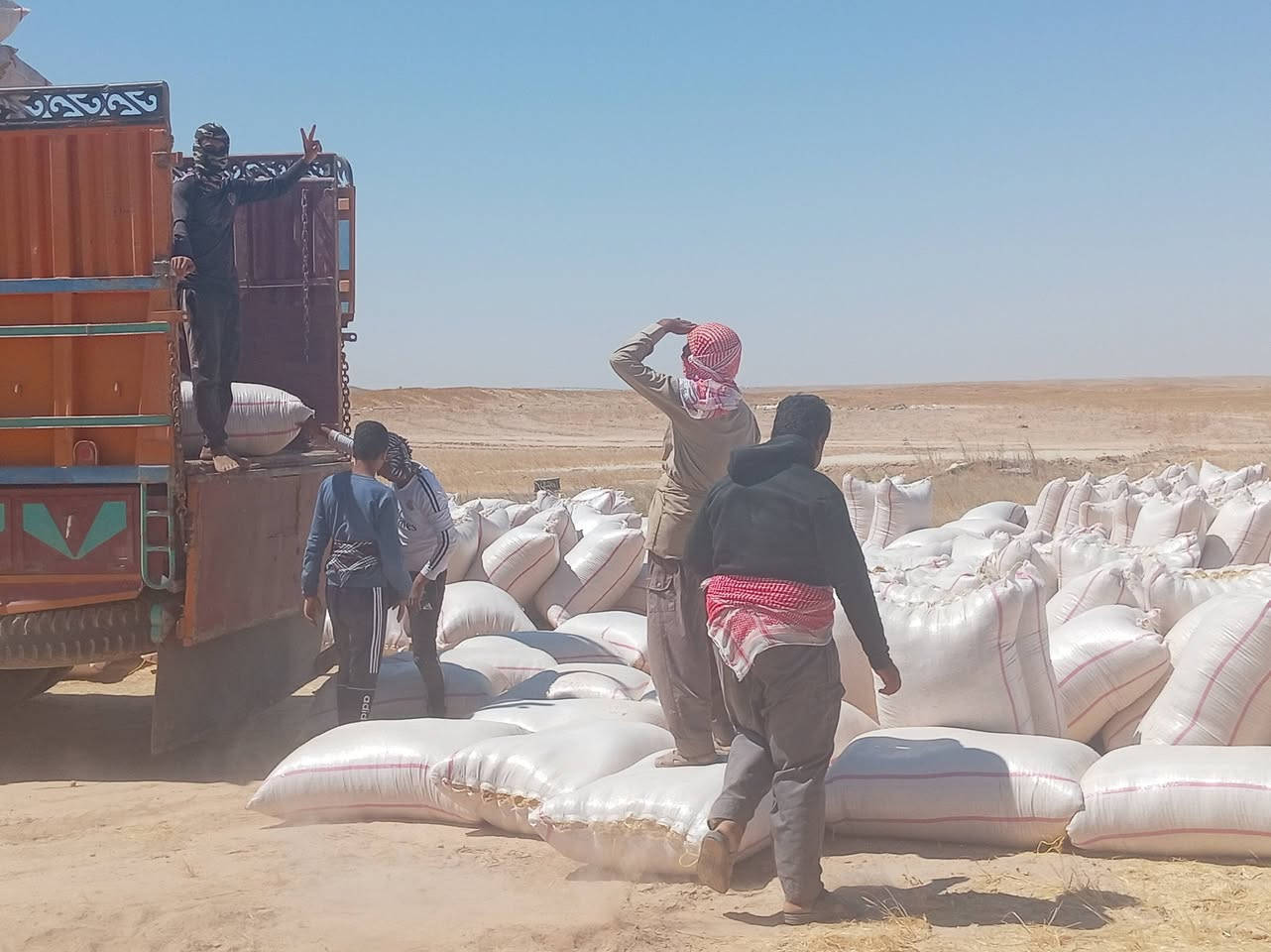 يوجد تبن للبيع نضافه شرط كوام دراسه سعر 3الف مكانه مطروح طول شليف 120 العرض 90 المكان سكران الغربي *********** ملاحظة يوجد توصيل حسب تفاق

