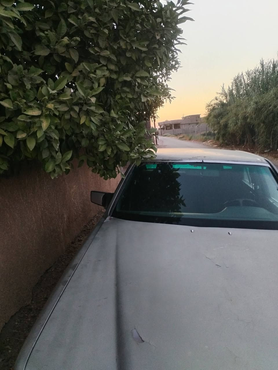 مرسدس وارد ياباني
مديل 89
سياره كله بلادي
قوعد دبل بلادي
مكينه بطه
تبريد ثلج
سياره منقصه شي
باب قصير
بسمي اريد تحويل
مبيع وكاله
سعر 40
***********
مكان تاجي
