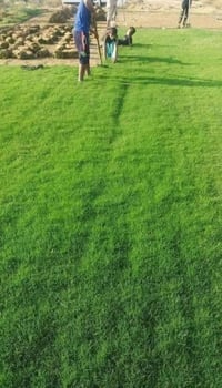 ثيل عمارتلي • توصيل ميسان • اقل كمية ٥٠٠م