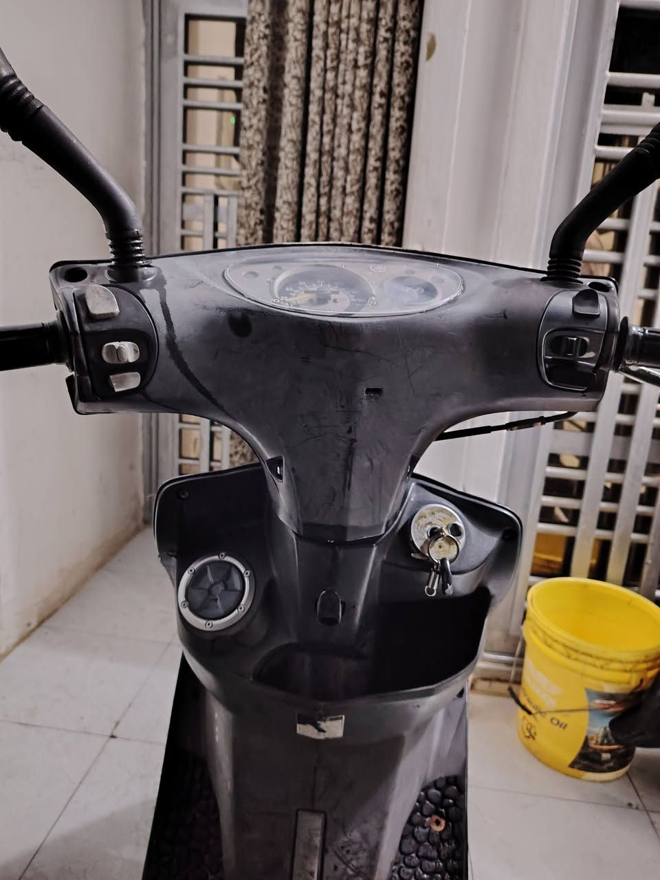 سكنس ثعلب • ١٤٠ • رمبة