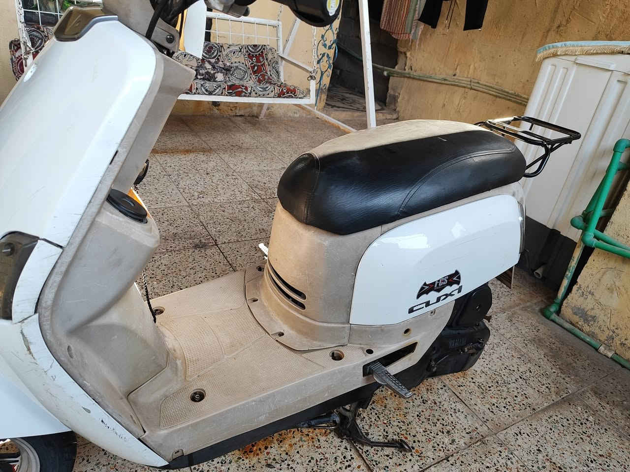 بوليس • ابيض كريمي • كفالة