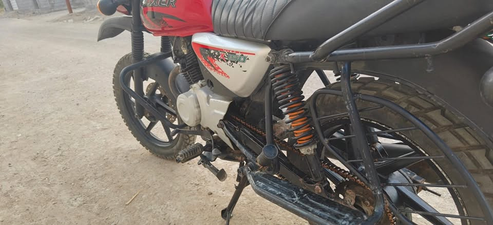 بوكسر جبلي • ٢٠٢٢ • اصلي