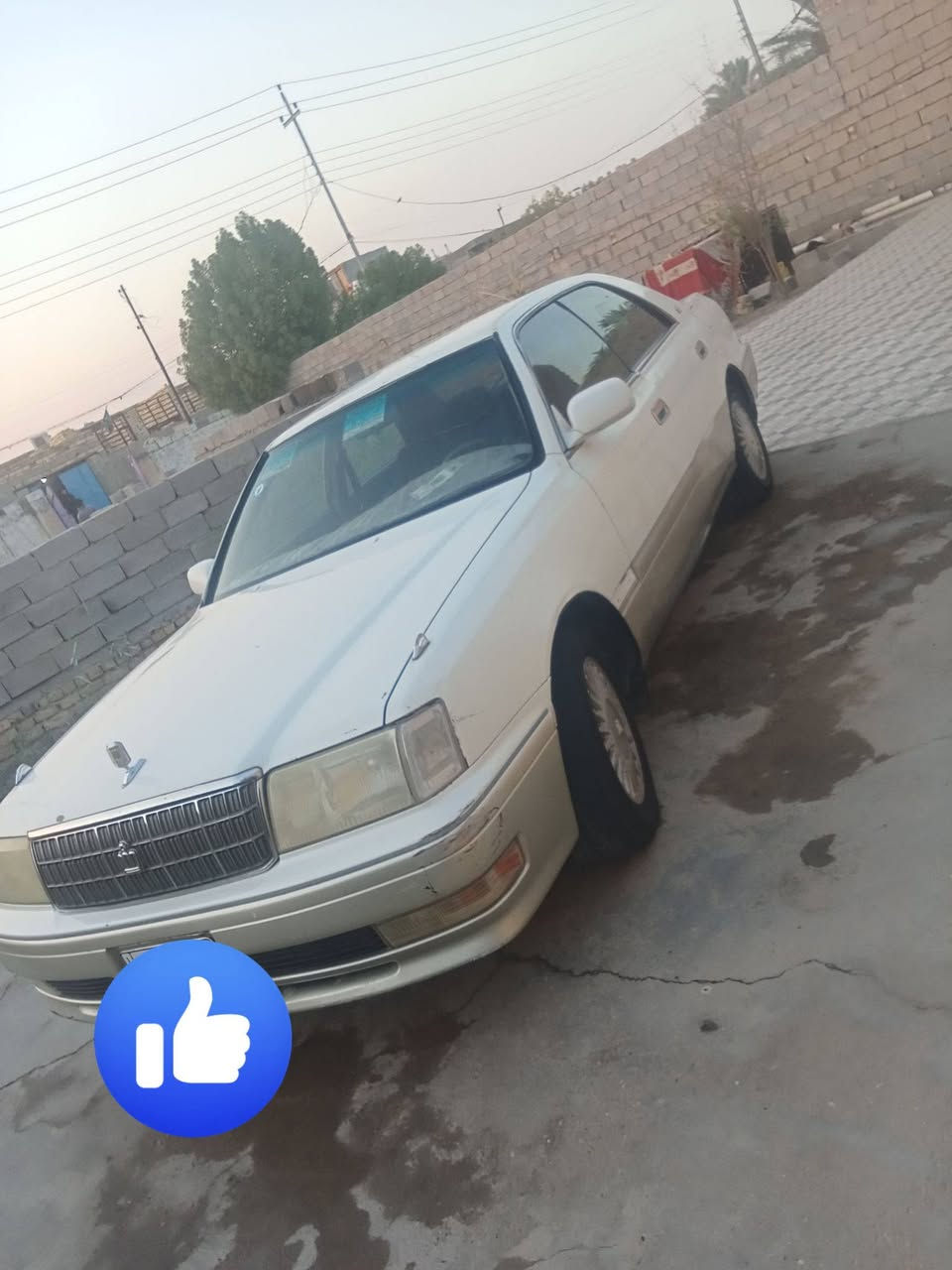 راس الثور البيع ادوات بيه ارقام وسنويه انكليزي اربيل طبق الصل محرك وكير كفاله حداديه نص عمر تبريد ماعرف شبيه بس فان مكاني ناصريه  وتساب *********** ملاحضه سياره مابيه كصه حاويه
