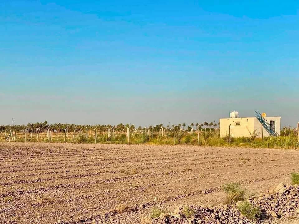 7 دوانم على طابو المحموديه  مباشر من صاحب السند يتحول باسمك
***********

*********** واتساب

السعر65 وبي مجال للدونم

7 دوانم طابو زراعي25 تقع بغداد اتجاه سريع دورة الجديد منطقة صخريجة قبل الجسر الاول تبعد عن مركز بغداد والطابقين 20 دقيقة ومسافة عن المدرسة 150 متر مع نهرين من جهتين واصلها كل الخدمات  واعمدة كهرباء ومحدد ابعاد كل دونم تحيط بها مزارع ودور
