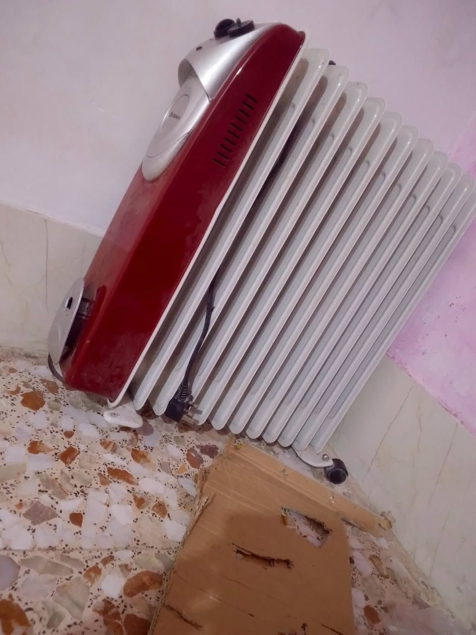 صوبة زيتية • ٥٠