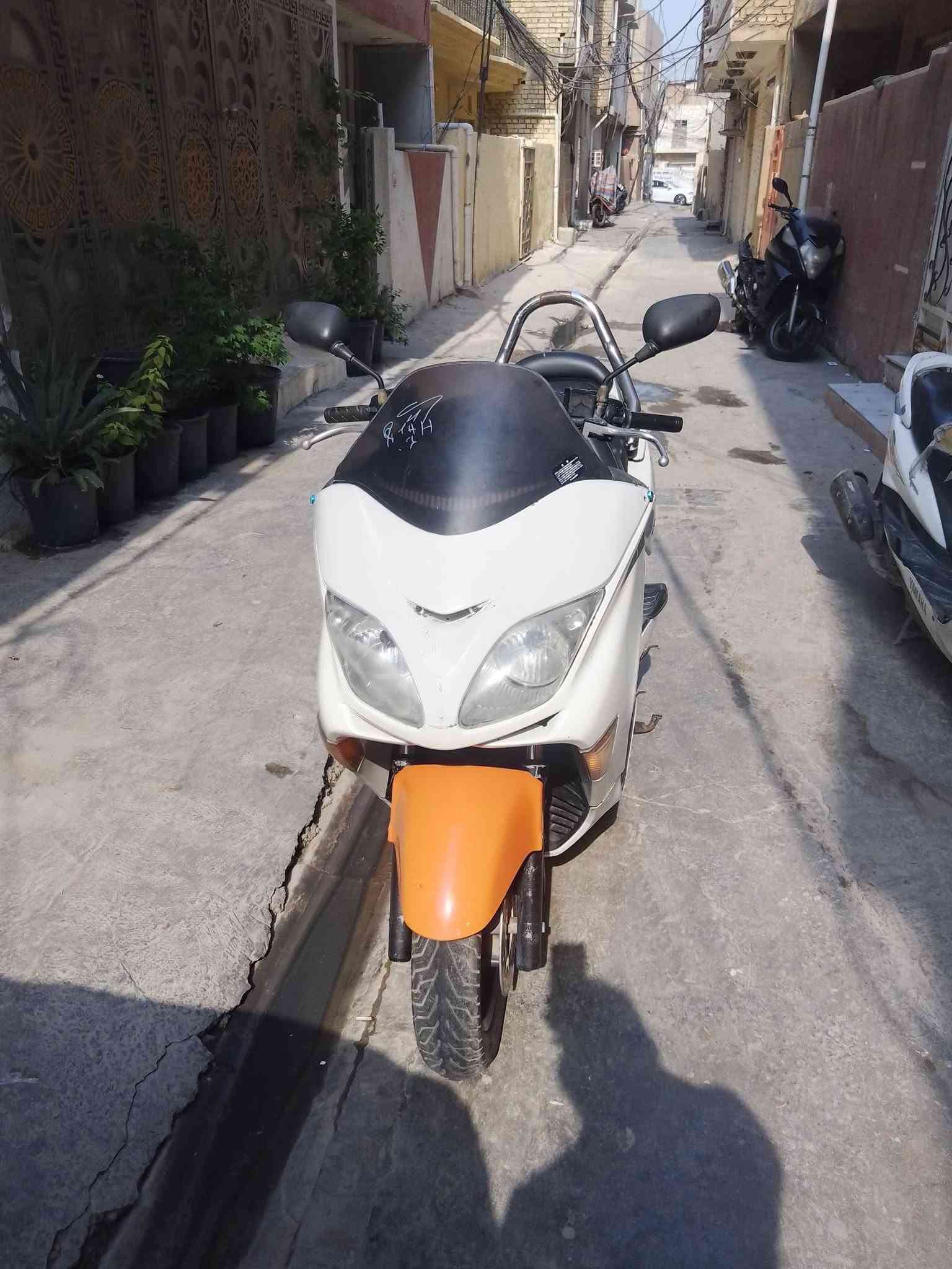 فورزا • زيرو • زنون