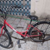 باسكل • بطه حاويه • ٢٠٢٣