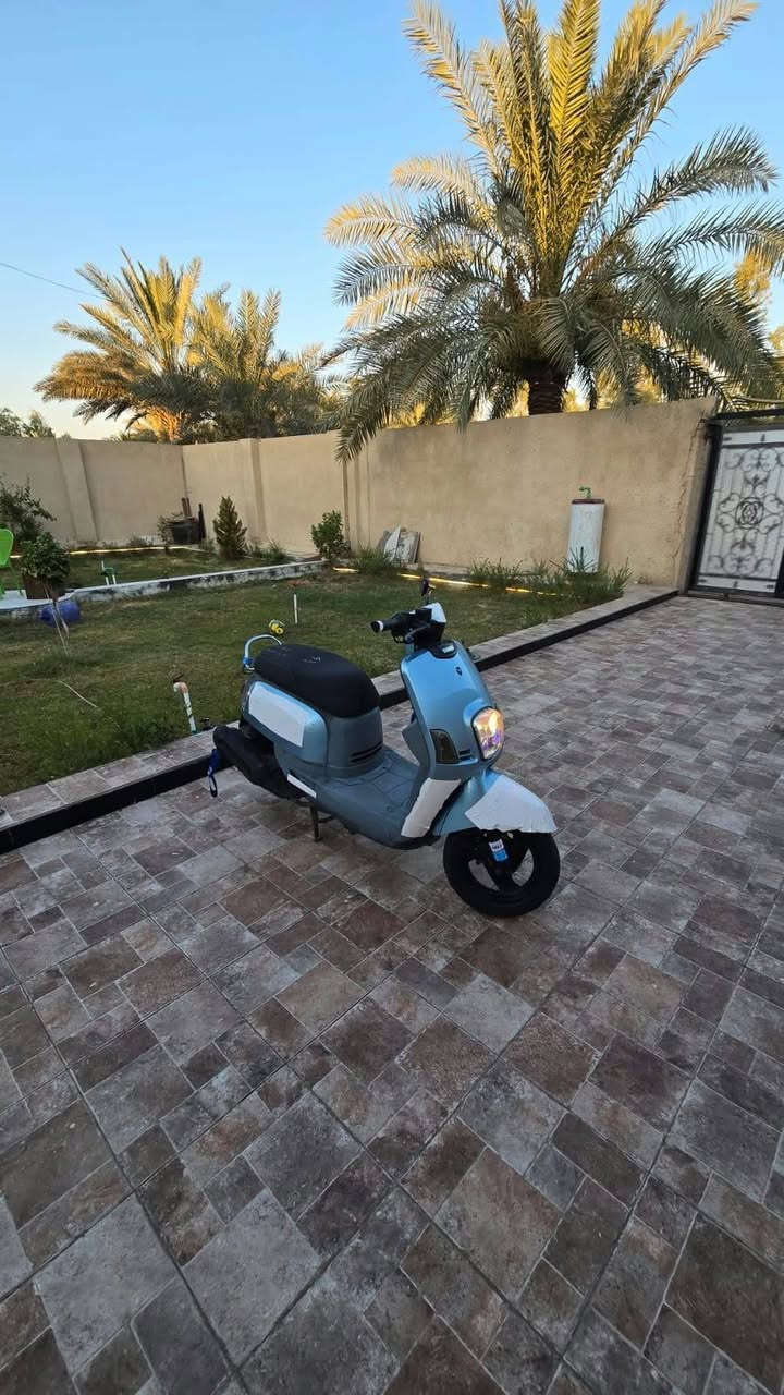 بوليسي نوزل • ٢٠١٠ • مكفوله