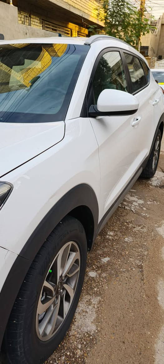 توكسان • ٢٠١٧ • صبغ