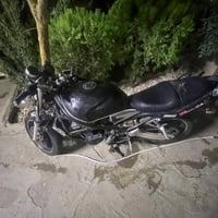 بانده • تايكر • شغالة