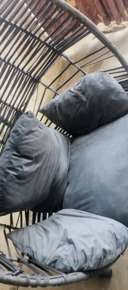 ديديه ام العش تلخذ نفرين الى ثلاث نفرات للبيع سعر 100 وبيها مجال للطيبين عنوان موصل حي الميثاق ‏‪***********‬‏ وتساب
