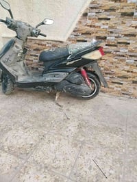 سكنس فحل • سلف • هندر