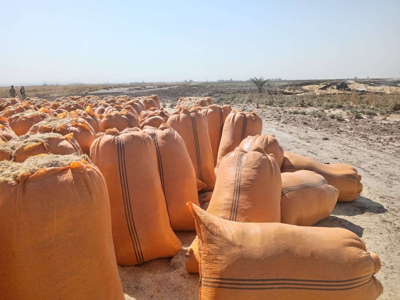 🌾 تبن الشمال للبيع 🌾

📦 حجم الكيس: 123 × 90
✨ تبن أبيض، ناعم ونظيف
🚫 خالي من التراب والشوائب

💰 سعر الزوج واصل: 7,750 دينار
📍 التوصيل إلى جميع مناطق ديالى

🔹 أقل كمية للطلب: 420 كيس

📞 للطلب والاستفسار:
***********
