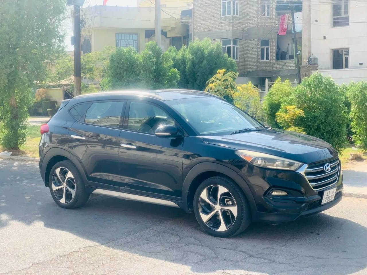 توسان • ٢٠١٧ • وارد امريكي
