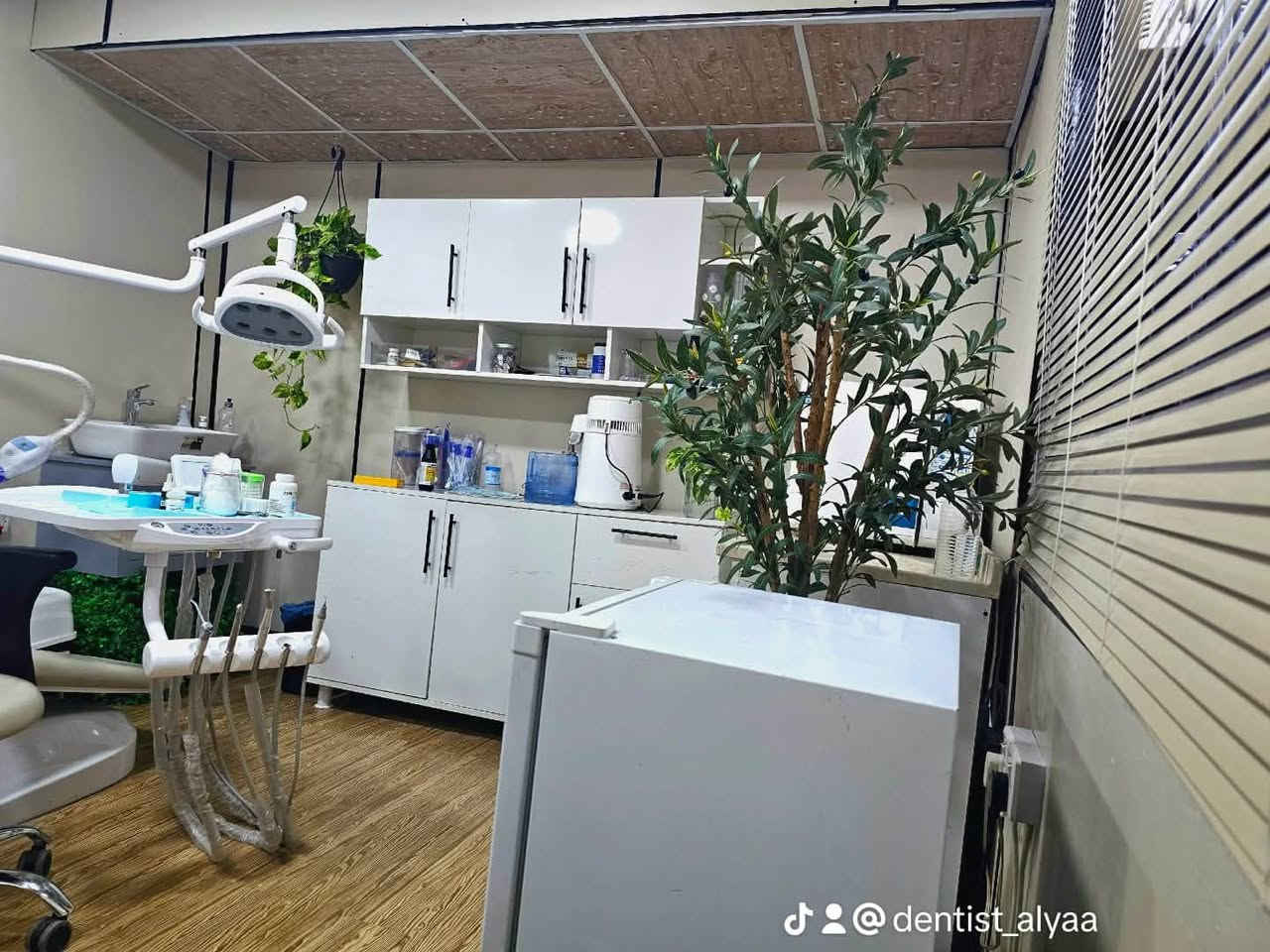 دكتورة أسنان • علياء الموسوي • المشتل شارع المطبك