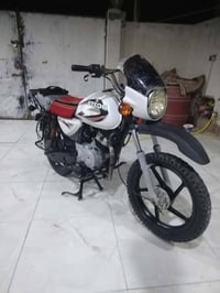 بوكسر • موديل 18 • حلوه