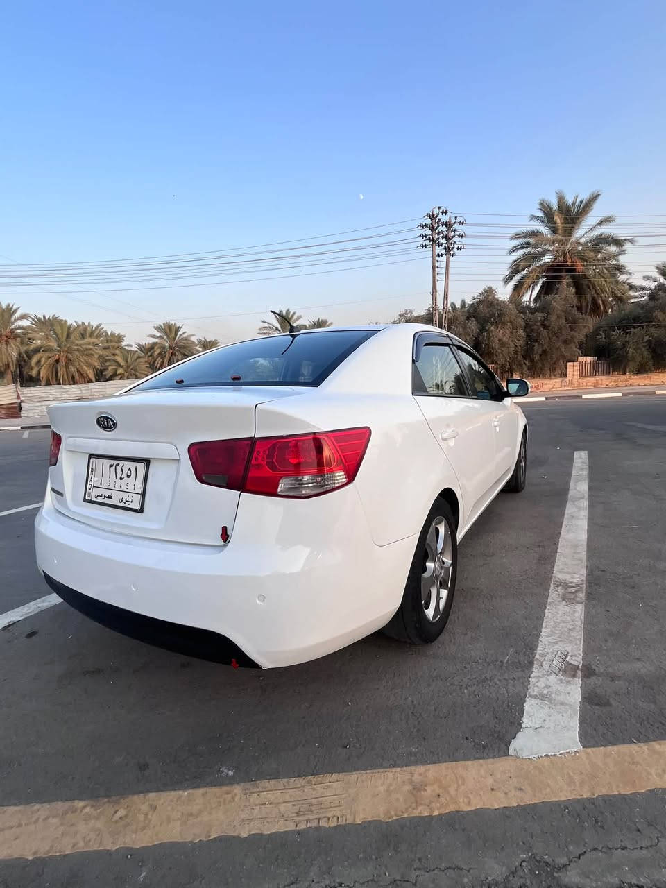 ٢٠١٠ • ٣ قطع صبغ • تحويل باسم الشراي
