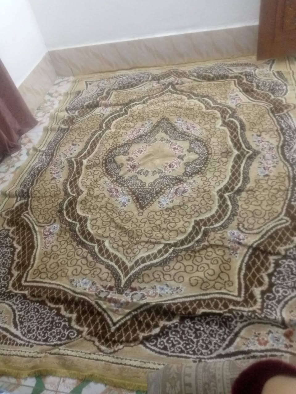 سجاد • سعر خاص