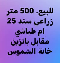 ام طباشي • ٥٠٠م • زراعي