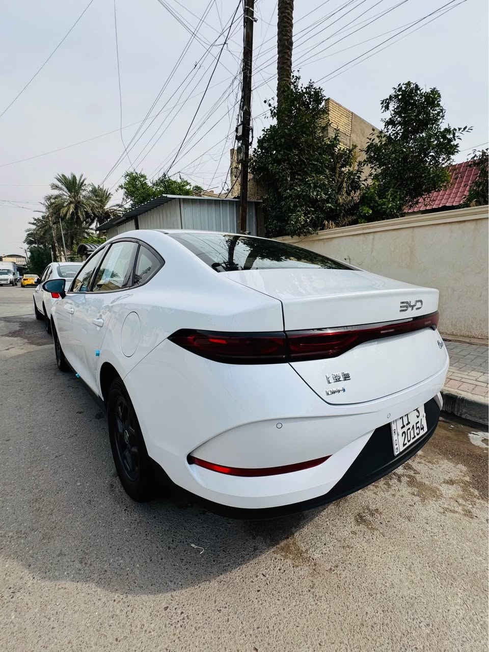 داخل زيتوني • جلد • ٢٠٢٥