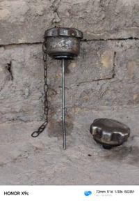 بولندر • فلفو • بابل