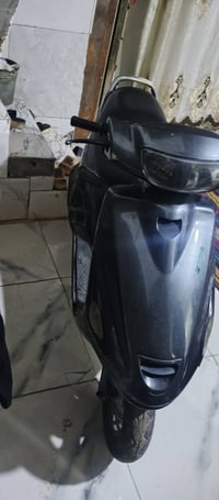 فراشه • مامفتوحه • شغال