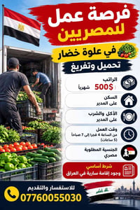 مصريين • تحميل وتفريغ • سكن ومأكل