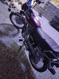 تايجر • ٢٠٢٥ • اوراق