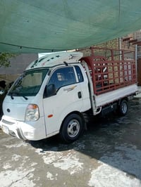 قادسيه • فحل سبلاين • ٢٠١٢