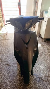 ماكس ثعلب • جديده • كفالة