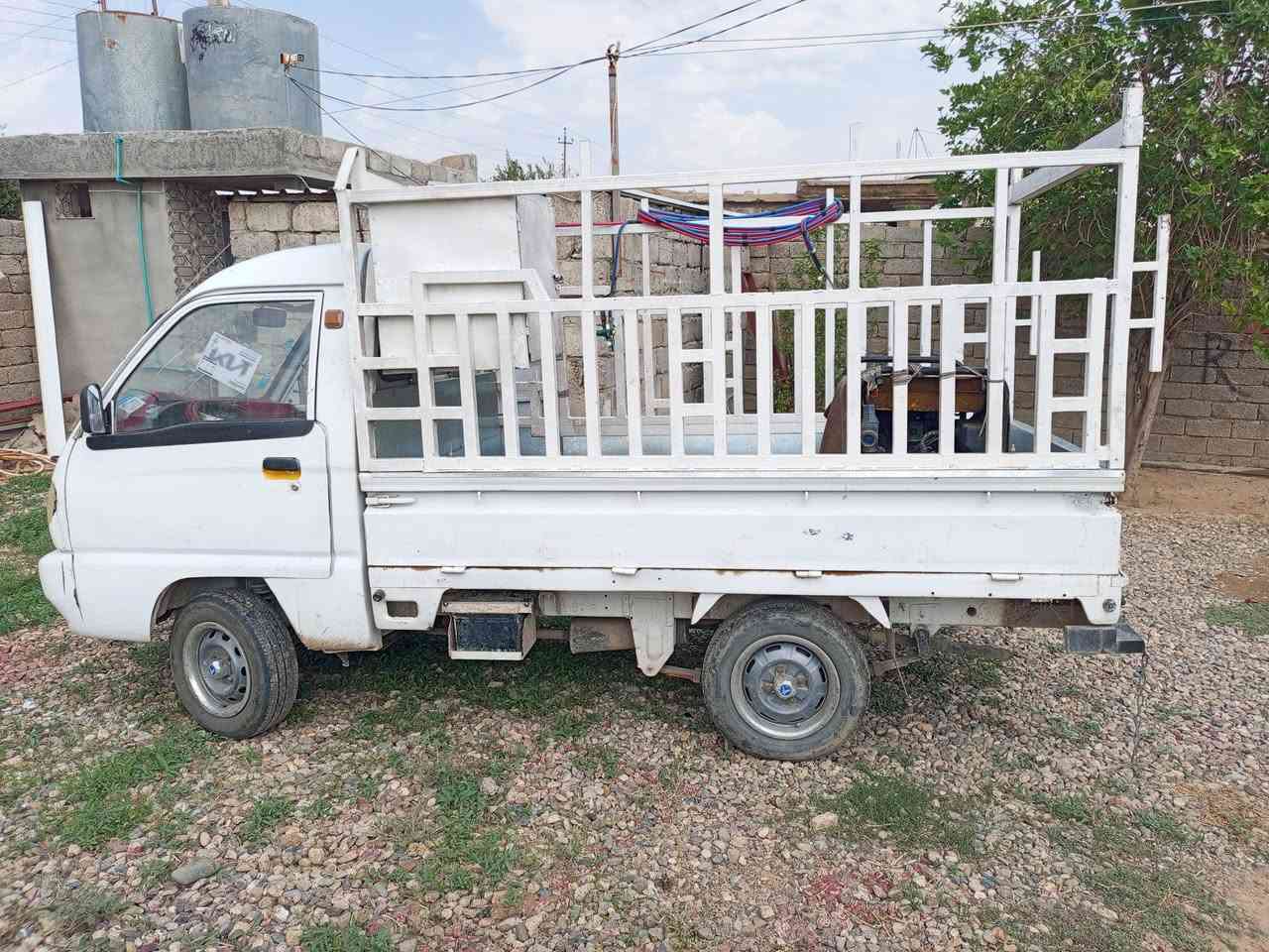 فاو • ٢٠٠٦