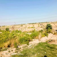 خلف جامعة بابل • ١٤٠٠م • مزروعة ٢٠ فسائل
