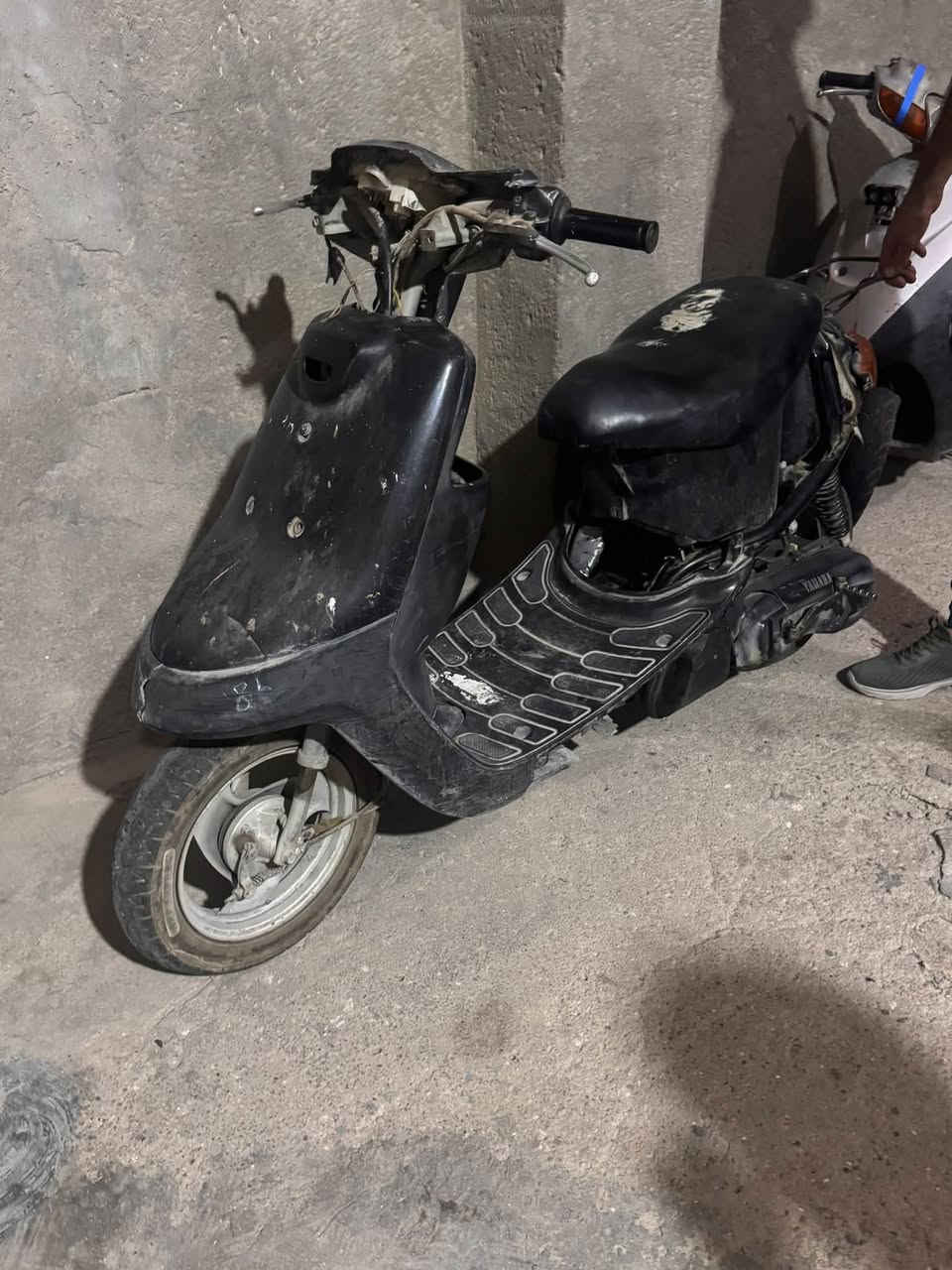 بطه • شغاله • اوراق